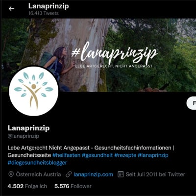 Screenshot des Twitter Kanals von Lanaprinzip